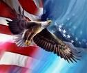 Police Eagle Gift