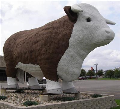 Howie The Bull