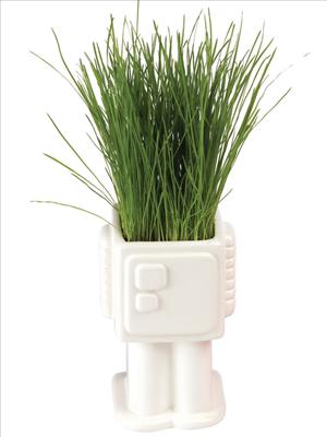 Grass Planter