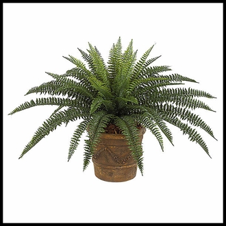 Artifical Fern Plant