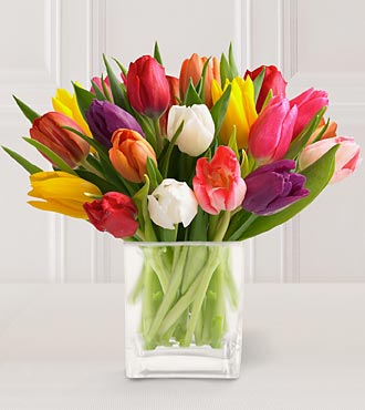 Fresh Flowers