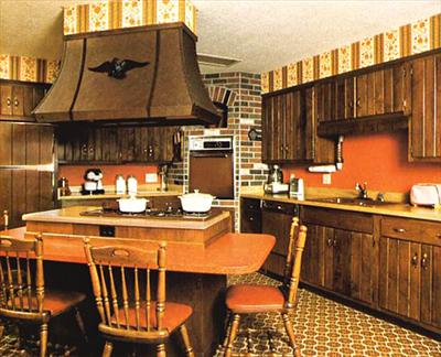 Kitchen Remodel - 70's style
