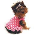 Princess Pooch