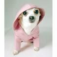 Pretty in Pink Pooch