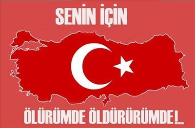 Türk Bayrağı 5