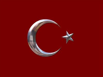Türk Bayrağı 9