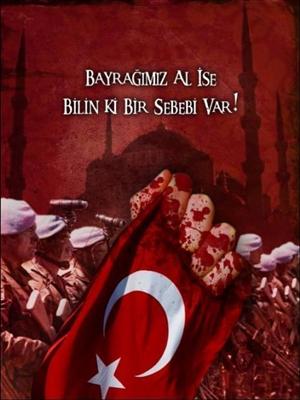 Türk Bayrağı 2