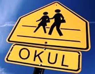 OKULU SEVİYORSUN???