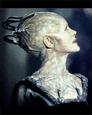 The Borg Queen (ships sistem matrix)
