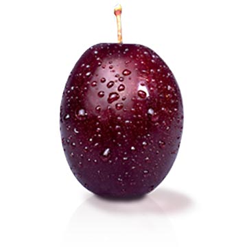 Plum