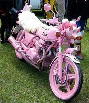 moto rose ! 