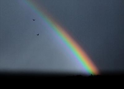 rainbows