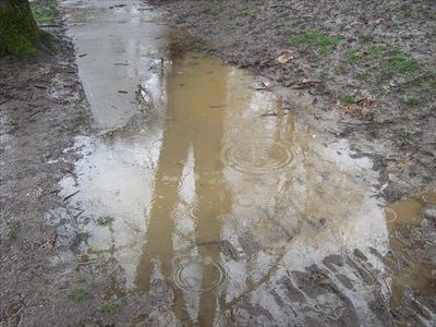 playing in mud puddles