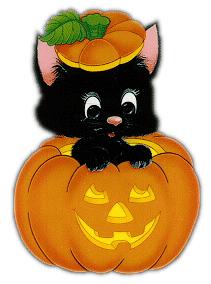 Have a purr-fect Halloween!