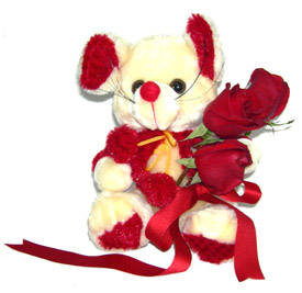 pandacık