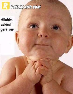 bebek