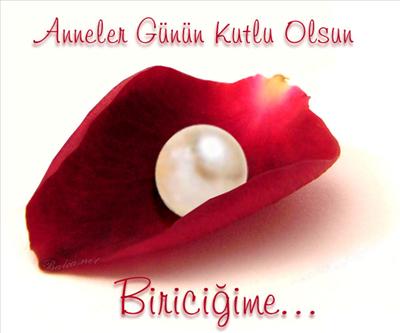 gül ve inci