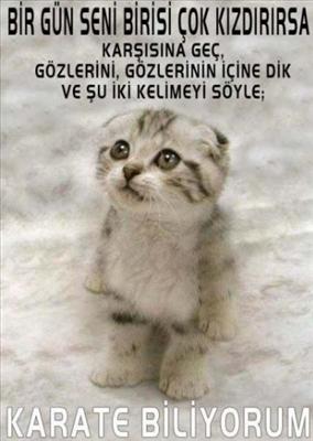 karate biliyorum haaaa