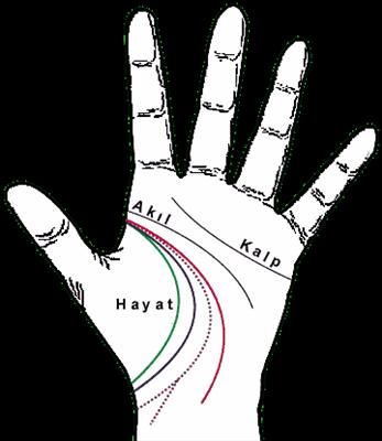 Hayat
