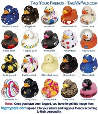ducks