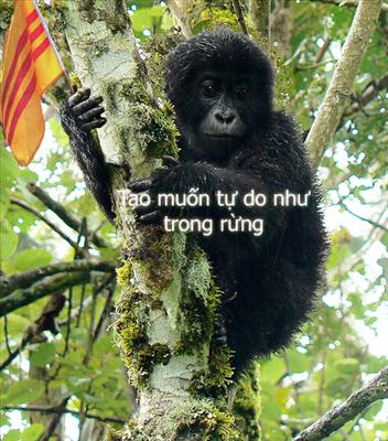 Rân trủ