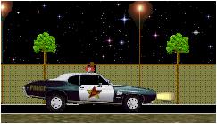 police patrol