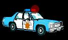 police 5 