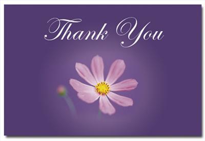 Thanky You