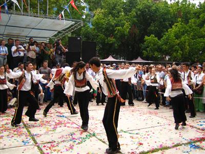 faroz kesmesi
