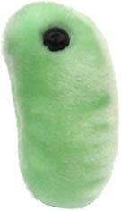 Flu