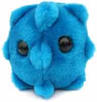 Common Cold