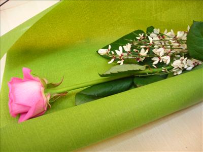 happy women's day