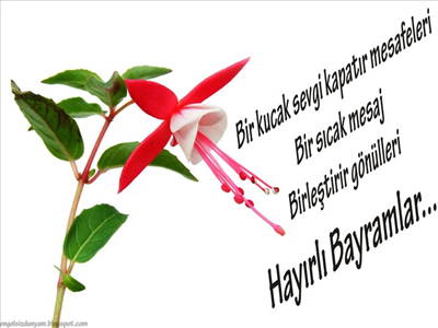 hayırlı bayramlar