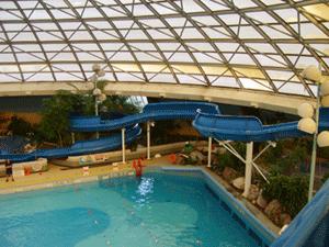 The Oasis