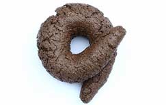 Crotte de chien