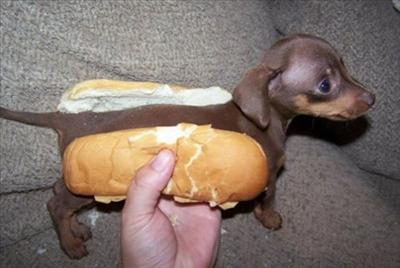 Weiner