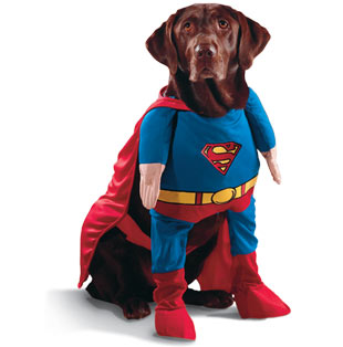 Super Dog!