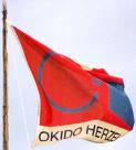 Chiro vlag