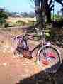 Sheffield's No1 Bike