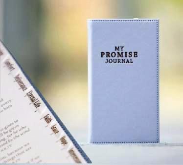 My Promise journal