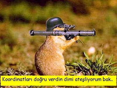 sayılır