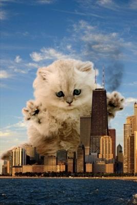 CatZilla!!!!