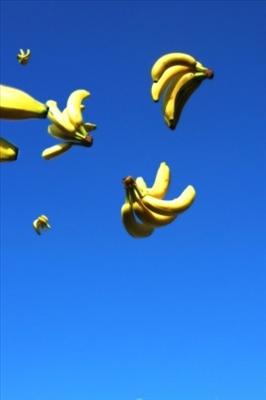 Bananas!