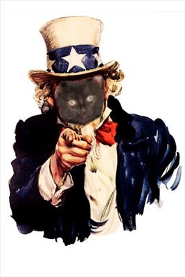 Uncle Sam??