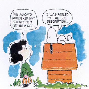 a job