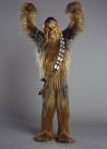 wookie hug