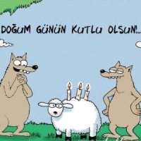doğum günü