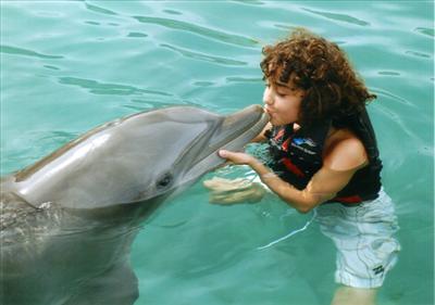 Dolphin Wolff!!!