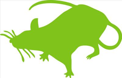 Lime Rat