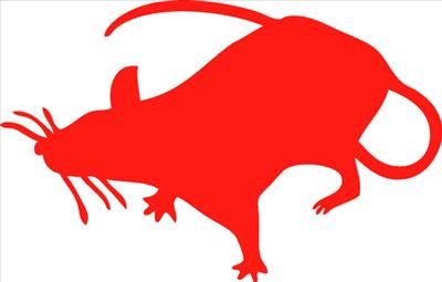 Red Rat